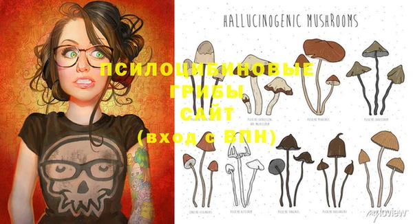 твердый Приозерск