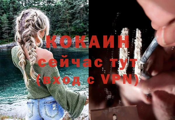 гашик Протвино