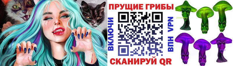 Купить закладки  Павловская  Псилоцибиновые грибы ЛСД 